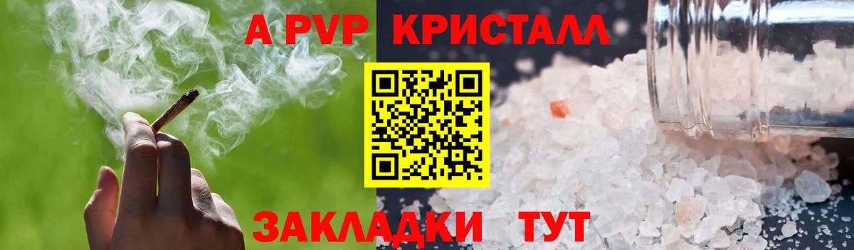 APVP СК КРИС Элиста