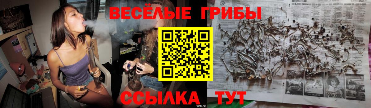 Псилоцибиновые грибы ЛСД Элиста