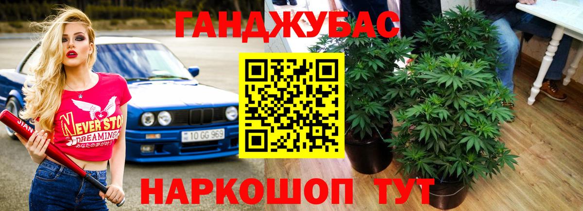Бошки Шишки OG Kush Элиста